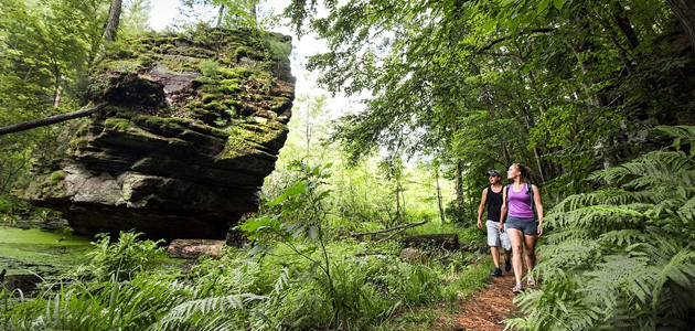 Rocky Arbor
